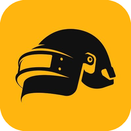 โปร Pubg Steam Private